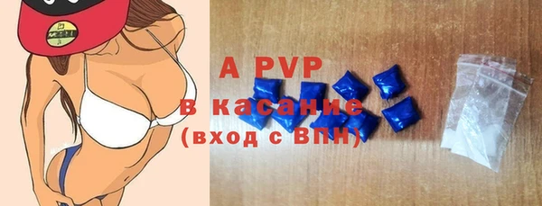 крисы Гусев