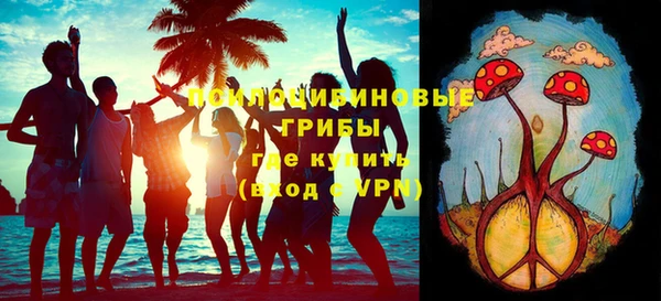 СК Гусь-Хрустальный
